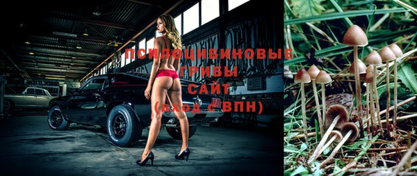 прущий лед Алексеевка