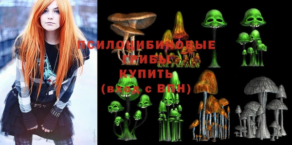 прущий лед Алексеевка