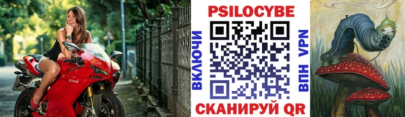 наркота  Кашин  Псилоцибиновые грибы Psilocybine cubensis 