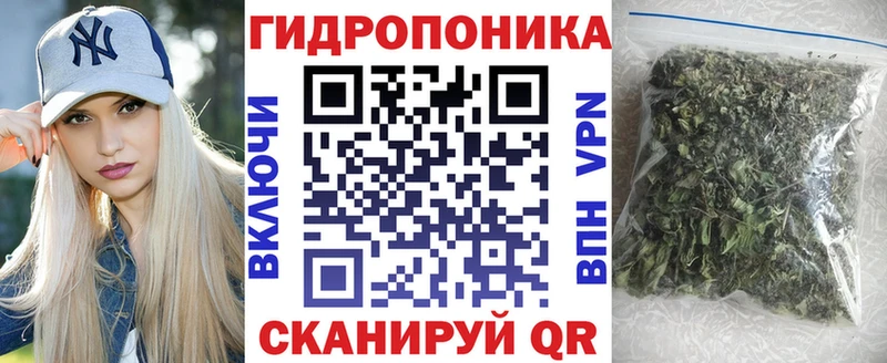 площадка клад  Кашин  Бошки Шишки SATIVA & INDICA  blacksprut ТОР 
